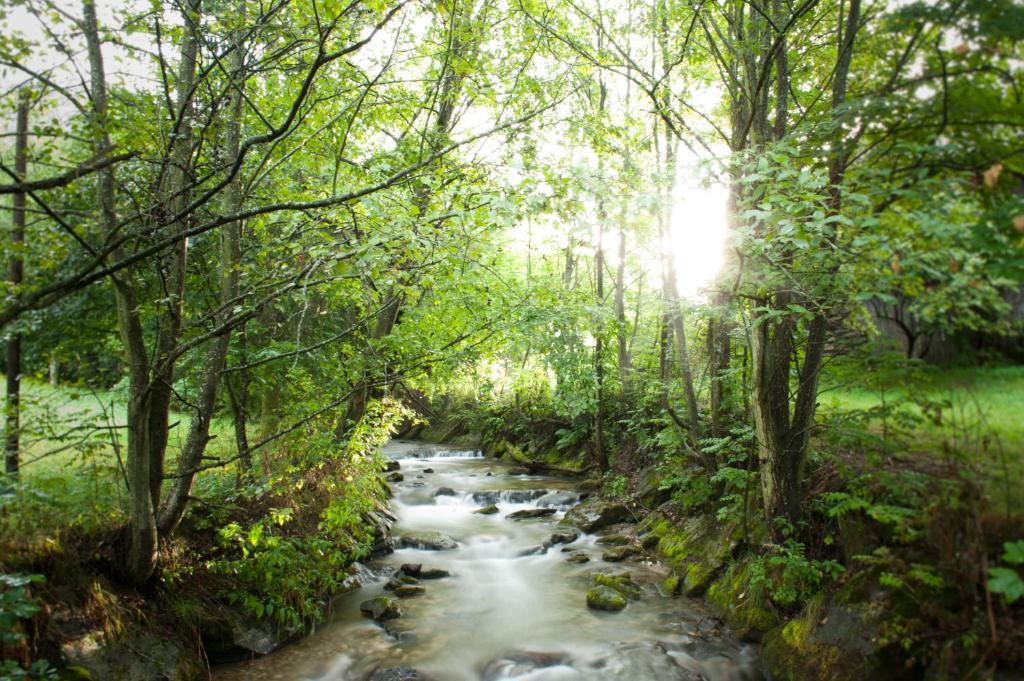Naturhotel Ortners Eschenhof Bad Kleinkirchheim Bagian luar foto