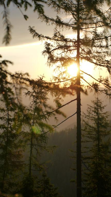 Naturhotel Ortners Eschenhof Bad Kleinkirchheim Bagian luar foto